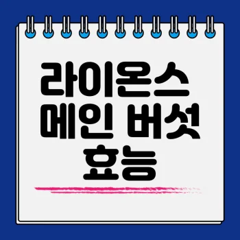 라이온스-메인-버섯-효능