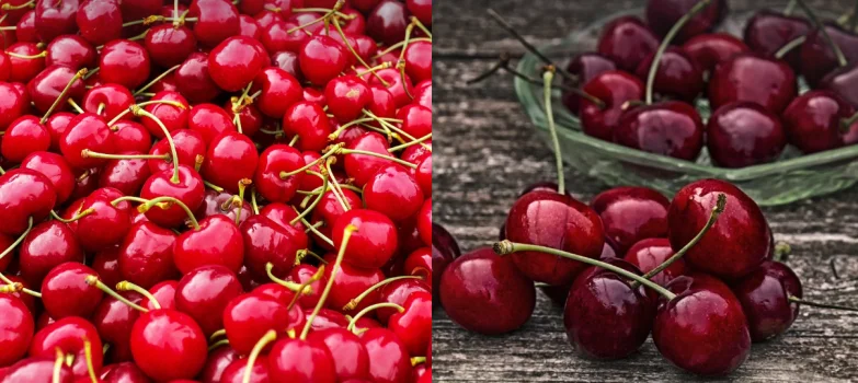 타트체리-먹는법