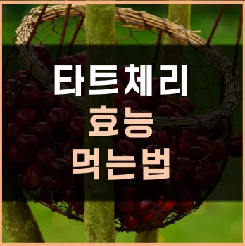 타트체리-효능