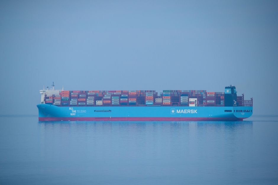 Docker 컨테이너 고래 로고와 파란 배경